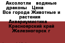 Аксолотли / водяные драконы › Цена ­ 500 - Все города Животные и растения » Аквариумистика   . Красноярский край,Железногорск г.